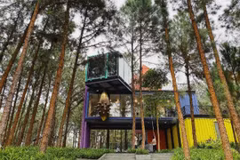 ‘Arts in the Forest’ exhibition opens in Vinh Phuc’s resort
