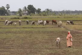 Thailand warns of water shortage in some localities
