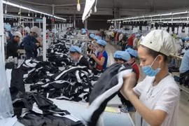 CPTPP to help promote Vietnam-Canada economic, trade ties