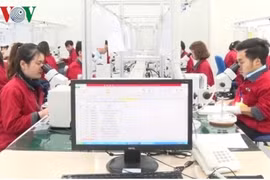 Hai Phong: Most employees return to work after Tet