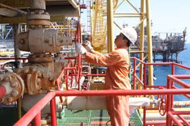 Blue Whale gas field project to be launched in Quang Nam 