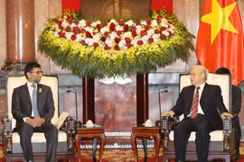 Vietnam, UAE have potential for long-term cooperation