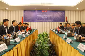 Vietnamese, Lao information ministers discuss enhancing ties 