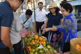 More than 1,000 safe agricultural models set up