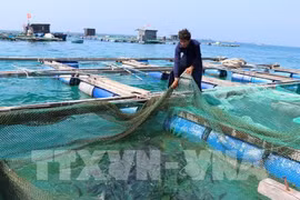 Aquaculture sector looks to sustainable development 