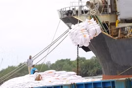 Rice sector eyes top quality varieties next year