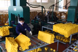 Upturn seen in rubber exports in seven months