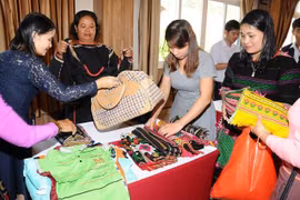 Dak Nong ethnic minority women assisted to approach new tech