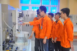 Job generation for rural labourers a priority for Vinh Phuc