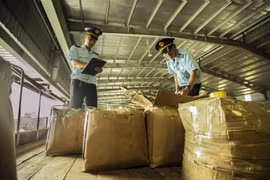 Vietnam, China trade ties continue to develop