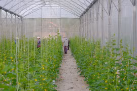 Forum on agricultural product consumption to be held for first time
