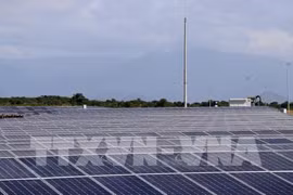 Binh Phuoc: over 12 trillion VND invested in solar power