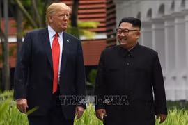 US-DPRK Summit: Russian official stresses need of mutual trust recovery 