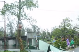 Two die, one go missing due to storm Nakri