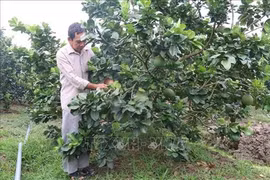 Tien Giang works to reduce poverty rate to 2.99 percent