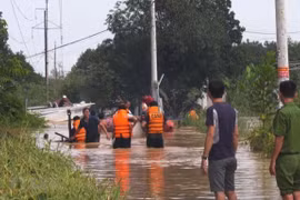 Vietnam, Japan share measures to cope with flash flood, landslides
