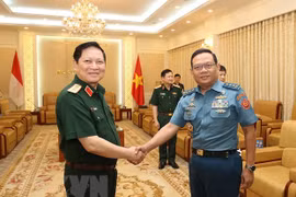 Vietnam, Indonesia launch first defence dialogue