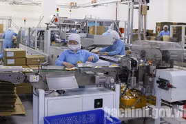 135 projects become operational in Bac Ninh’s industrial parks in 2019
