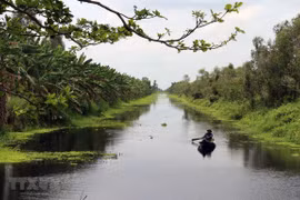 Kien Giang focuses on eco-tourism in U Minh Thuong National Park