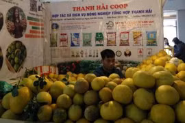 Local staples offered at Hanoi’s spring fair 2019