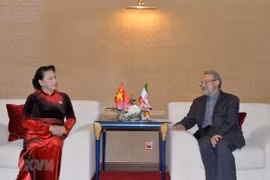 Vietnam, Iran look to foster partnership in various fields