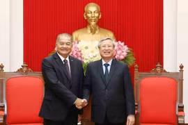 Party official: Vietnam does best to foster ties with Laos 