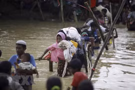 Myanmar sets up military court to probe violence against Rohingya minority