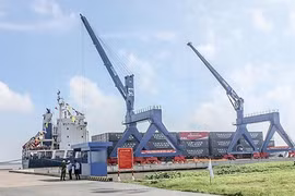 Weak logistics services cause great losses to Mekong Delta exporters 