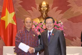 Vietnam, Bhutan seek stronger audit cooperation