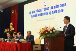 EVN records 15 percent rise in total revenue for 2018