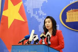 Vietnam, US look to further defence ties: Foreign Ministry spokesperson 