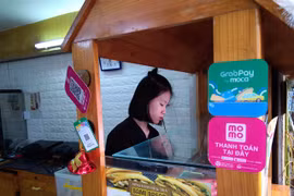 Telecoms firms ready for mobile money service