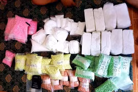 Nearly 1.3 tonnes of synthetic drugs seized in HCM City in nine months