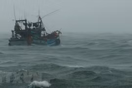 Vietnam calls for help to search for missing fishermen