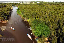 Action programme on sustainable development in Mekong Delta
