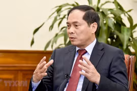 EVFTA provides new driving forces for Vietnam-EU partnership: Deputy FM