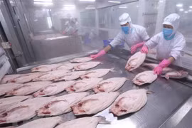 Australia-based institute: Vietnam makes rapid progress in Asia-Pacific 