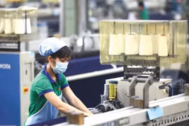 FDI poured into Binh Duong up 69 percent