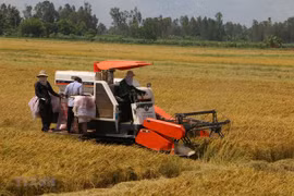 Programme bolsters industrial development in rural areas