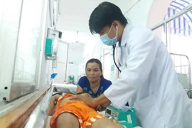 Vietnam aims to eradicate malaria by 2030 