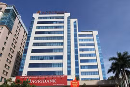 Banks hold auctions to cut bad debts