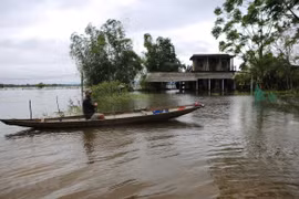 Thua Thien-Hue to build 430 flood-proof houses in 2019-2020