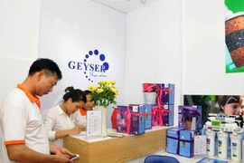 Vietnam-Russia economic, trade relations continue to thrive
