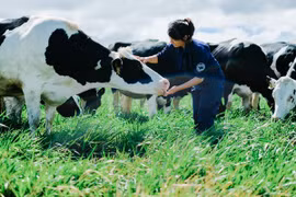 Vinamilk seeks to expand markets