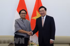 Vietnam, Indonesia fortify bilateral cooperation