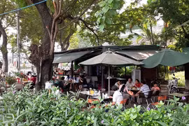 HCM City’s residents lament lack of green space