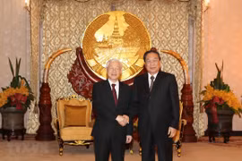 Party General Secretary, President meets former leader of Laos