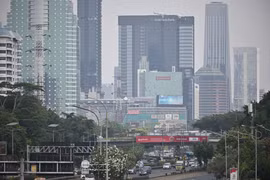Indonesia: Land burned in forest fires surges in 2019