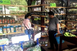 Vietnamese firms to introduce products at South African supermarkets 