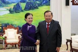 Vietnam-Laos special solidarity, comprehensive cooperation hailed